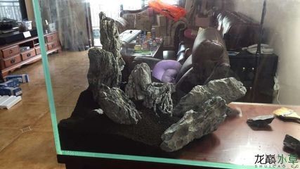 大石頭魚缸造景：大石頭魚缸造景石頭的選擇和擺放，石頭魚缸造景，石頭選擇要點與