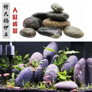 大石頭魚缸造景：大石頭魚缸造景石頭的選擇和擺放，石頭魚缸造景，石頭選擇要點與