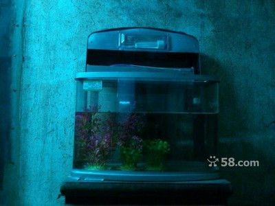 慈溪哪里有賣魚缸的店鋪：在慈溪有多家專門售賣魚缸的店鋪，溪哪里有賣魚缸的店鋪？多家專售魚缸店鋪位置及