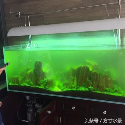 大型家用魚缸怎么打理：大型家用魚缸的打理主要包括以下幾個方面：清洗魚缸的重要步驟，大型家用魚缸打理攻略，清洗步驟及日常維護要點詳解