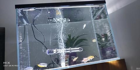 超白魚缸去哪買便宜的：滕州超白魚缸diy超白魚缸diy教程，州超白魚缸哪里買便宜？DIY教程及選購指南全