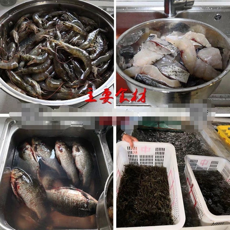 虎魚吃魚食10天以后變化，虎魚吃魚食 10 天后，體態、習性與外觀的奇妙變化