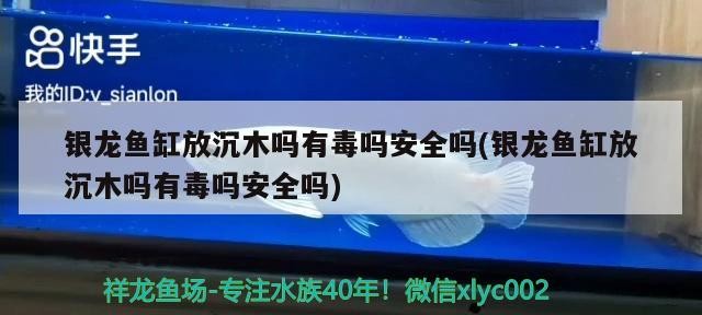 魚缸過濾器選購指南:自制魚缸過濾器魚缸上置過濾器對于養魚愛好者的必備知識 銀龍魚缸放沉木嗎有毒嗎安全嗎(銀龍魚缸放沉木嗎有毒嗎安全嗎)龍魚缸放沉木有無毒性及安全性 銀龍魚百科 銀龍魚缸放沉木嗎有毒嗎安全嗎(銀龍魚缸放沉木嗎有毒嗎安全嗎)龍魚缸放沉木有無毒性及安全性 銀龍魚缸放沉木嗎有毒嗎安全嗎(銀龍魚缸放沉木嗎有毒嗎安全嗎)龍魚缸放沉木有無毒性及安全性 銀龍魚百科