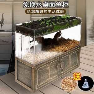 斗魚缸如何造景視頻：斗魚缸造景中的常見誤區與對策在斗魚缸造景中的常見誤區