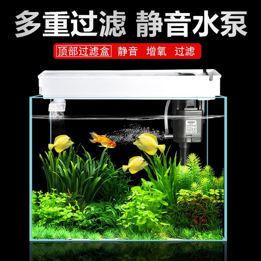 斗魚缸需要過濾器嗎怎么用：養(yǎng)好斗魚時，魚缸是否需要過濾器以及如何使用