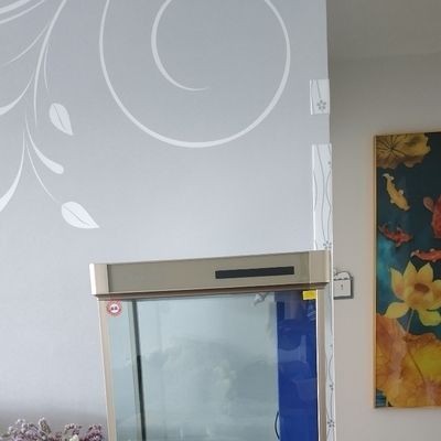 百勝魚缸和森森魚缸哪個好一點：森森魚缸和百勝魚缸哪個好