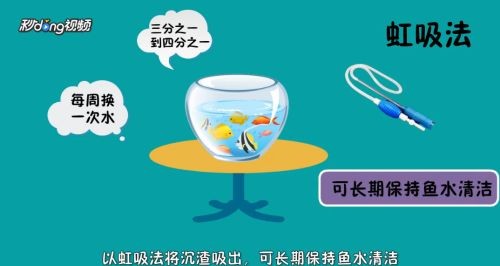 草缸怎么清理魚缸糞便