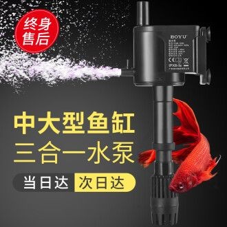 不用水泵的魚(yú)缸過(guò)濾器：魚(yú)缸過(guò)濾器的選擇與使用方法