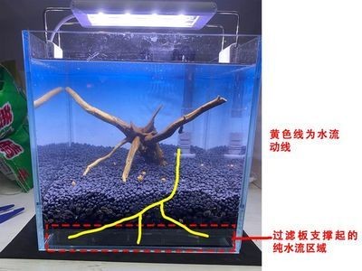 成品魚缸底部開孔視頻