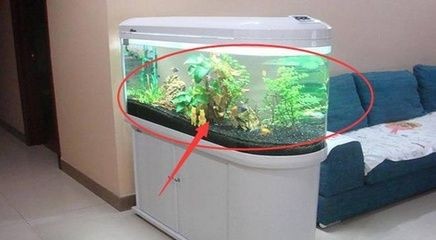 擺放空魚缸好嗎：空魚缸擺放的注意事項魚缸擺放的注意事項魚缸擺放位置