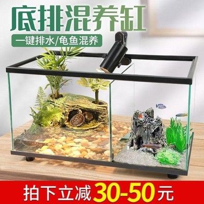 不換水的生態(tài)魚缸：不換水的生態(tài)魚缸是一種怎樣的存在？
