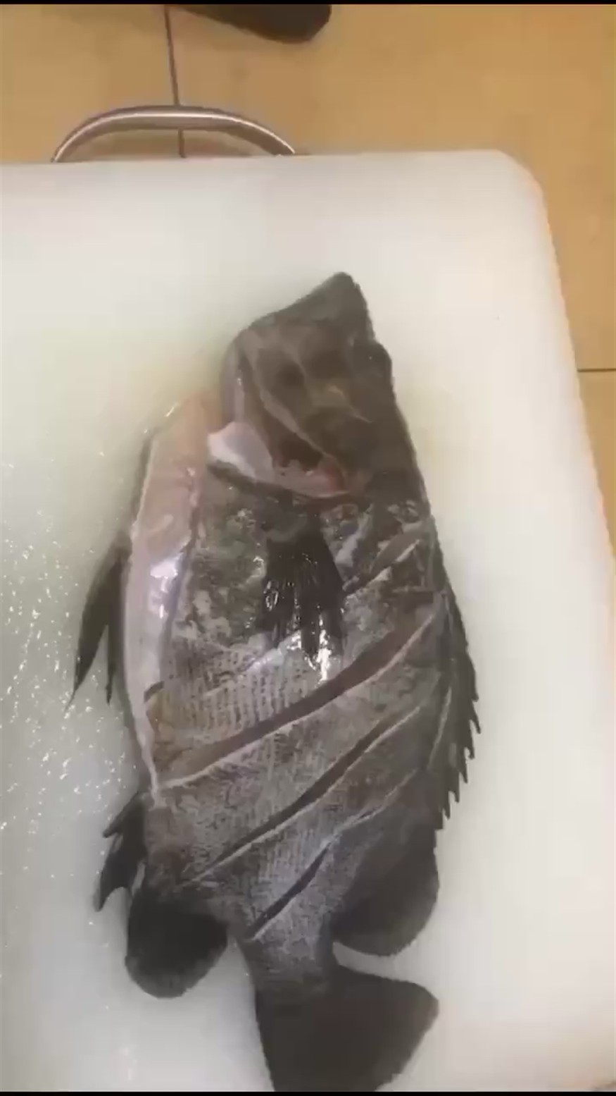 人間美味非虎魚莫屬
