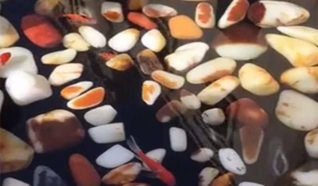 白玉石子可以放魚缸里嗎視頻：玉石可以放入魚缸里嗎？