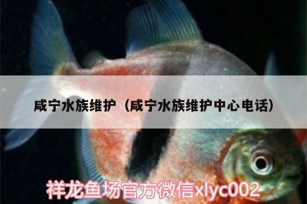 咸寧水族維護（咸寧水族維護中心電話）
