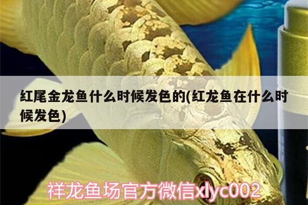 莆田魚缸維修電話號碼查詢電話（莆田魚缸維修電話號碼查詢電話地址）