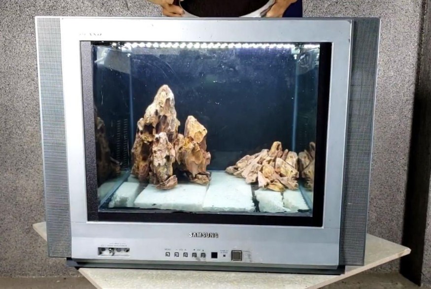大型魚缸造景設計：大型魚缸造景的歷史和發展