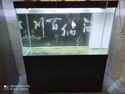 東營區全景水族館（東營區全景水族館地址）