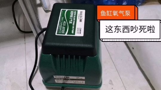 上海市閔行區華寶水族館（上海市閔行區華寶水族館地址）