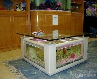 帶我去魚缸咖啡：南京魚缸咖啡館