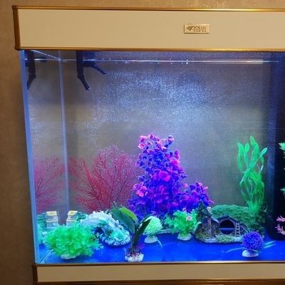 玻璃魚缸生產廠家排名榜：廣東玻璃魚缸生產廠家排行榜