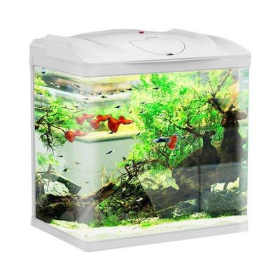 玻璃魚缸生產廠家排名榜：廣東玻璃魚缸生產廠家排行榜
