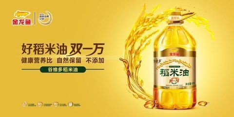 紅龍魚飼養方法及注意事項大全圖片（紅龍魚飼養方法及注意事項大全圖片視頻）
