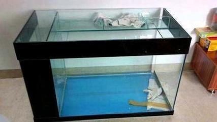 安裝魚缸的視頻教學：大型魚缸的制作過程和技巧 安裝魚缸的視頻教學：大型魚缸的制作過程和技巧 魚缸百科 第4張