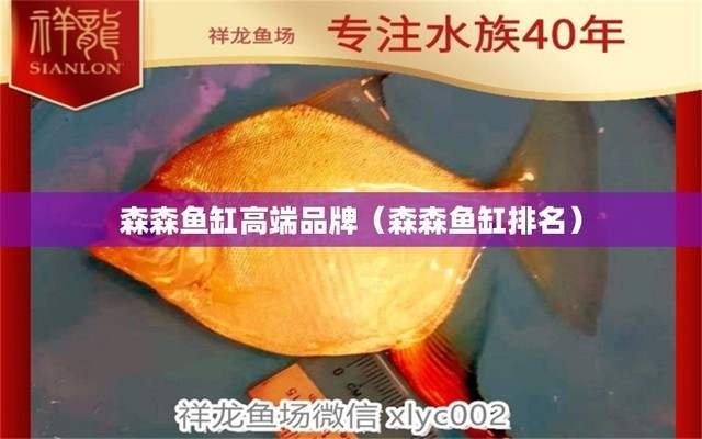湯陰縣城關人民路乾坤水族生活館（湯陰縣城關人民路乾坤水族生活館電話）