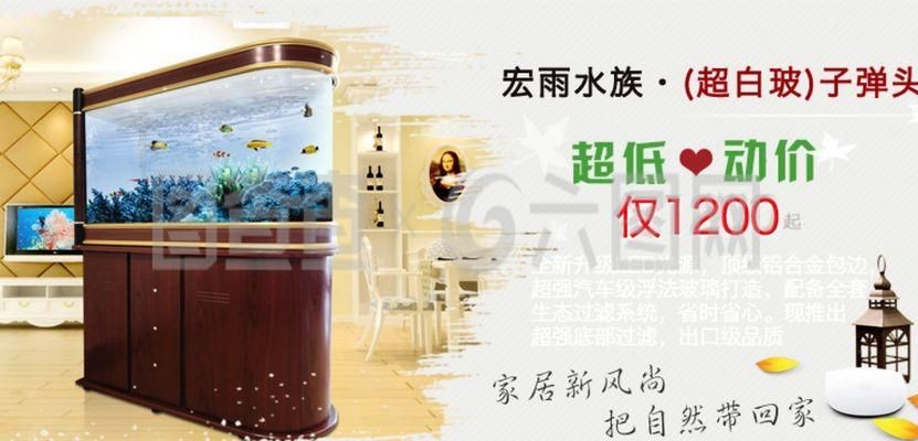 超強魚缸過濾系統：如何選擇魚缸過濾系統
