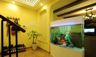 財神畫像下面能放魚缸嗎？：財神畫像下不適宜放置魚缸嗎？
