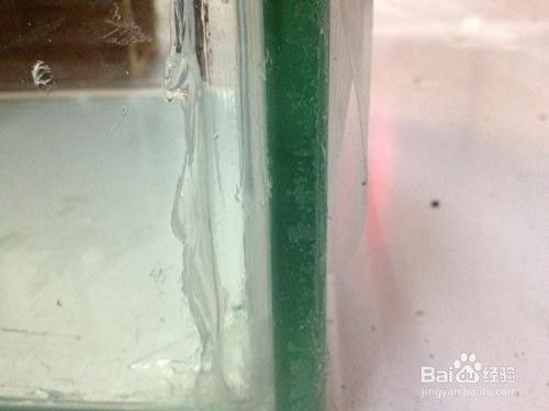 白色玻璃膠能粘魚缸嗎怎么處理：玻璃膠的選擇和使用技巧