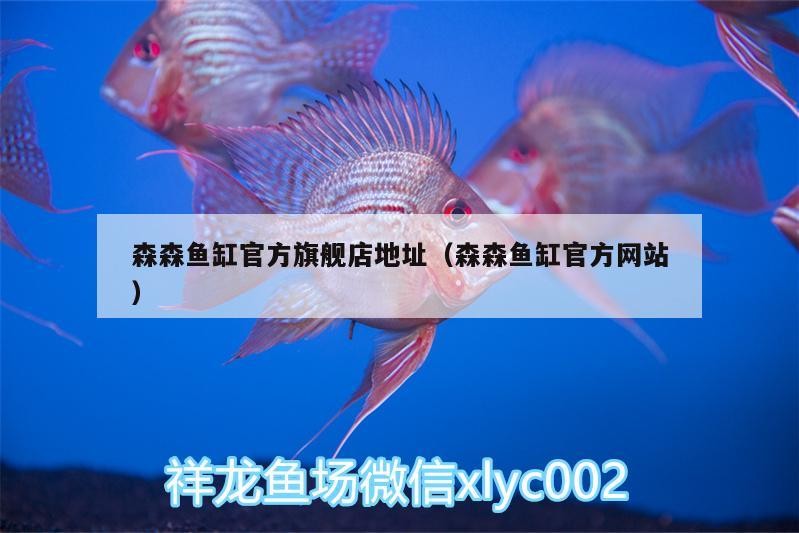 森森魚缸官方旗艦店地址（森森魚缸官方網站）