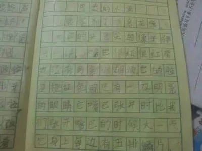 龍魚的作文怎么寫300字三年級
