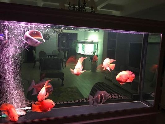 樂陵市新盛源生態水族館（樂陵市新盛源生態水族館電話）