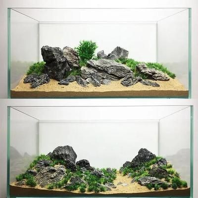 短鯛魚缸造景圖：如何打造個性化的魚缸造景？