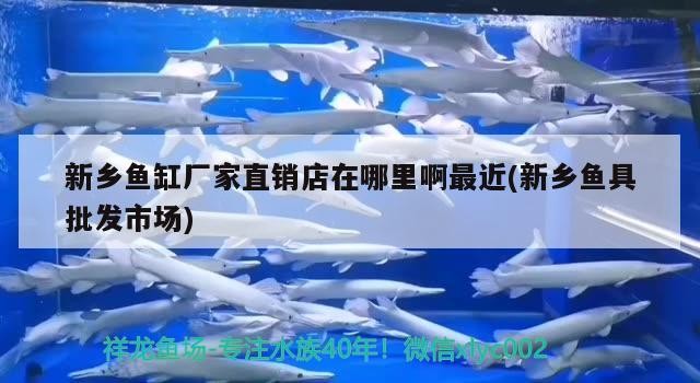 魚缸用增氧泵價格是多少:魚缸增氧機-xtrac增氧機-xtrac增氧機 新鄉魚缸廠家直銷店在哪里啊最近(新鄉魚具批發市場) 銀龍魚百科 新鄉魚缸廠家直銷店在哪里啊最近(新鄉魚具批發市場) 新鄉魚缸廠家直銷店在哪里啊最近(新鄉魚具批發市場) 銀龍魚百科