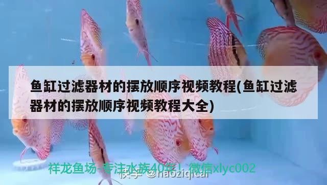 魚缸過濾器材的擺放順序視頻教程(魚缸過濾器材的擺放順序視頻教程大全)
