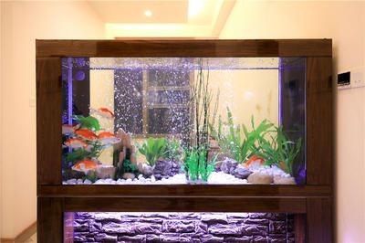 愛馬仕魚缸
