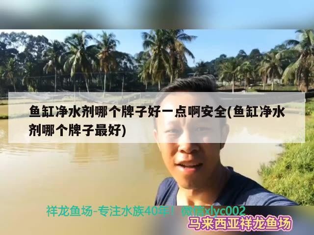 虎魚的壽命是多少年