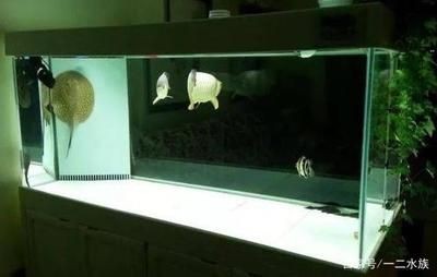 徹底清洗魚缸水垢視頻：如何徹底清洗魚缸水垢