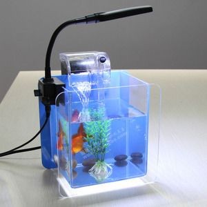 超白小魚缸哪個品牌好用點 超白小魚缸哪個品牌好用點 魚缸百科 第2張