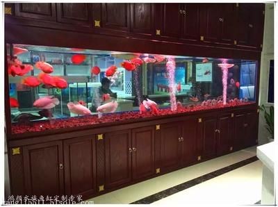 超大魚缸定制