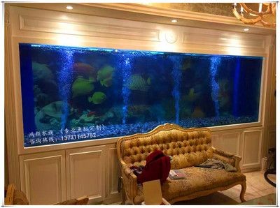 超大魚缸定制