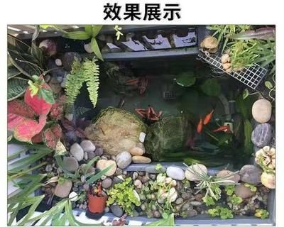 大型景觀魚缸設計圖：大型景觀魚缸設計圖制作方法
