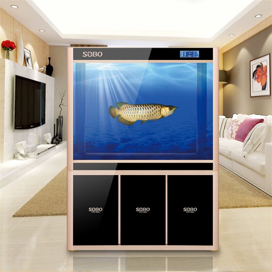 大魚缸配件：大魚缸配置對于熱帶魚的配置對于養魚來說還需要配件