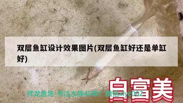 雙層魚缸設(shè)計(jì)效果圖片(雙層魚缸好還是單缸好)
