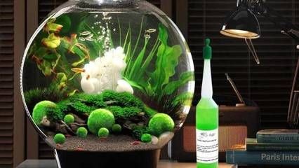 徹底清洗魚缸后要放鹽嗎視頻教學：徹底清洗魚缸后是否需要放鹽？