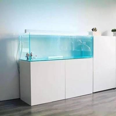 120x35x50的魚缸：120x35x50尺寸的魚缸如何正確配置