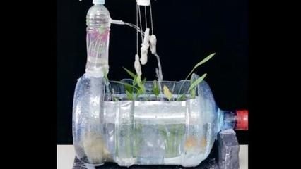 大礦泉水桶做魚缸：如何用大礦泉水瓶制作魚缸 大礦泉水桶做魚缸：如何用大礦泉水瓶制作魚缸 魚缸百科 第4張