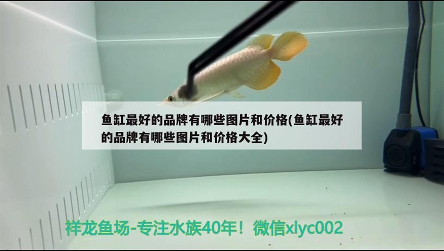 魚缸最好的品牌有哪些圖片和價格(魚缸最好的品牌有哪些圖片和價格大全)